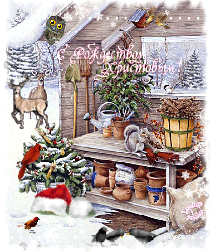 http://upforme.ru/uploads/0009/6c/04/1440/t41682.gif