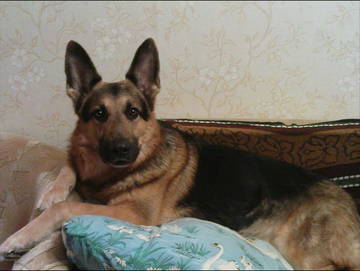 http://upforme.ru/uploads/0009/6c/04/2344/t37299.jpg