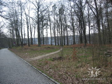 http://upforme.ru/uploads/0009/6c/04/4998/t181678.jpg