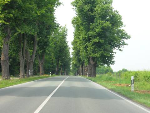 http://upforme.ru/uploads/0009/6c/04/603/t372164.jpg