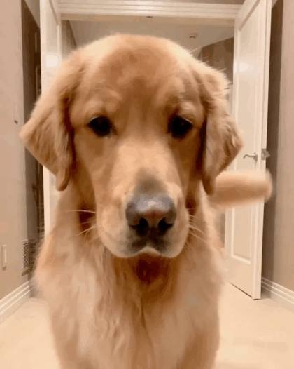 http://upforme.ru/uploads/0009/6f/7e/2/48023.gif