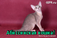 http://upforme.ru/uploads/0009/7a/0b/61-1.gif