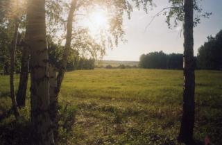 http://upforme.ru/uploads/0009/7b/7c/625-1.jpg