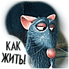 http://upforme.ru/uploads/0009/80/2d/116-1.gif