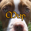 http://upforme.ru/uploads/0009/80/2d/322-1.gif