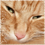 http://upforme.ru/uploads/0009/80/2d/541-1.gif