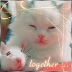 http://upforme.ru/uploads/0009/80/2d/6551-1.jpg