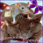 http://upforme.ru/uploads/0009/80/2d/6565-1.png