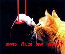 http://upforme.ru/uploads/0009/80/2d/6613-1.jpg