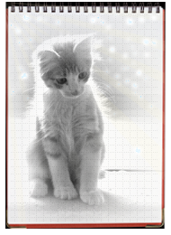 http://upforme.ru/uploads/0009/d3/0d/3238-1-f.png