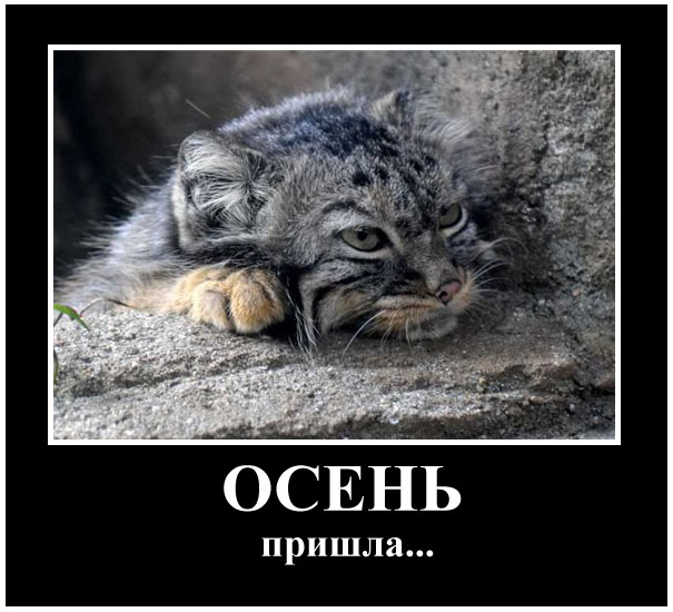 http://upforme.ru/uploads/0009/d6/a9/22252-1-f.jpg