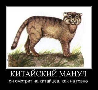 http://upforme.ru/uploads/0009/d6/a9/9921-1.jpg
