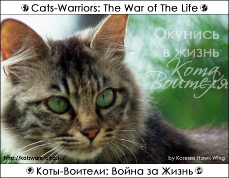 http://upforme.ru/uploads/0009/ec/92/117-1-f.jpg