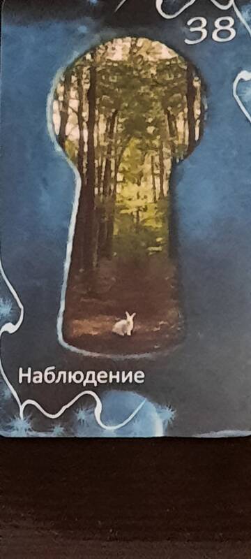 http://upforme.ru/uploads/000a/0c/a8/1466/t400591.jpg