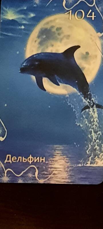 http://upforme.ru/uploads/000a/0c/a8/1466/t456504.jpg