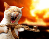 http://upforme.ru/uploads/000a/3a/56/89-1.gif