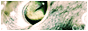 http://upforme.ru/uploads/000a/3f/01/73-1.gif