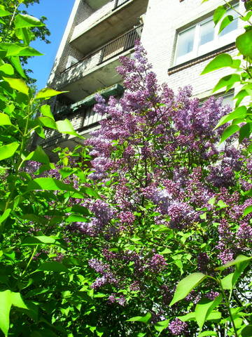 http://upforme.ru/uploads/000a/3f/42/16/t375815.jpg