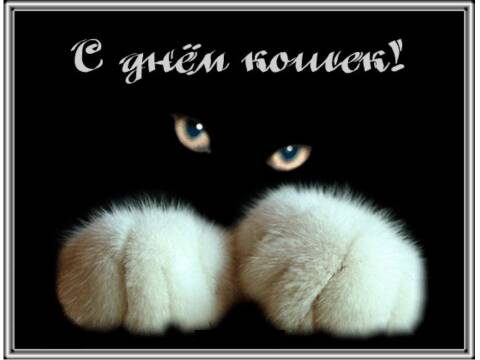 http://upforme.ru/uploads/000a/3f/42/16/t43156.jpg