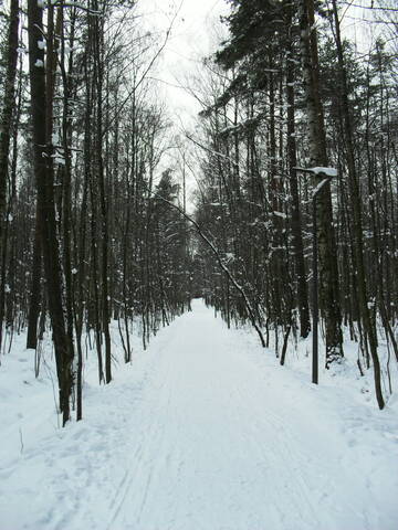 http://upforme.ru/uploads/000a/3f/42/16/t459000.jpg