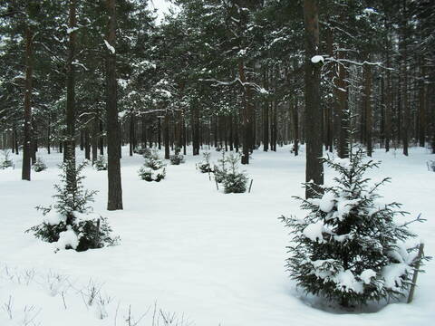 http://upforme.ru/uploads/000a/3f/42/16/t467860.jpg