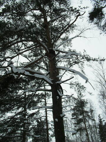 http://upforme.ru/uploads/000a/3f/42/16/t479588.jpg