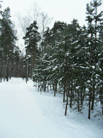 http://upforme.ru/uploads/000a/3f/42/16/t567837.jpg