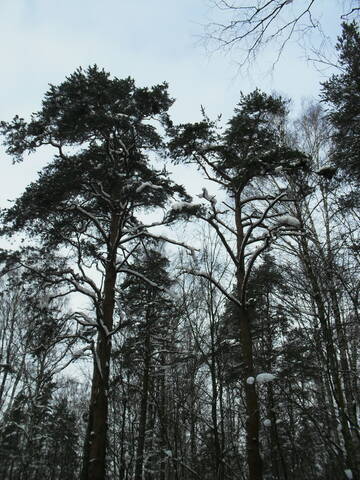 http://upforme.ru/uploads/000a/3f/42/16/t675966.jpg