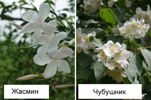 http://upforme.ru/uploads/000a/3f/42/16/t696785.jpg