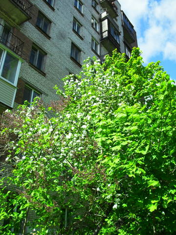 http://upforme.ru/uploads/000a/3f/42/16/t704280.jpg