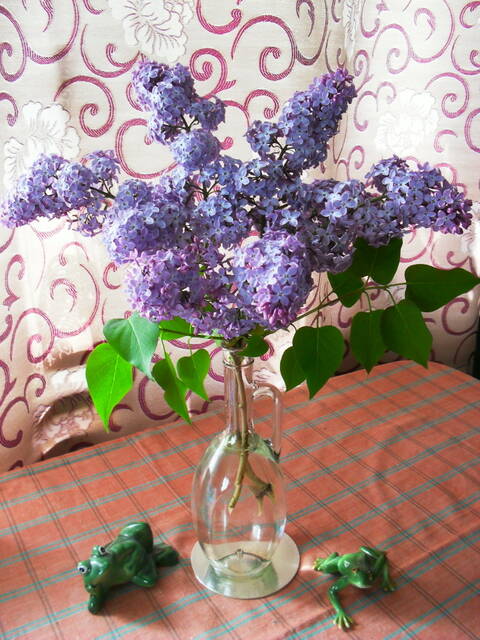 http://upforme.ru/uploads/000a/3f/42/16/t713373.jpg