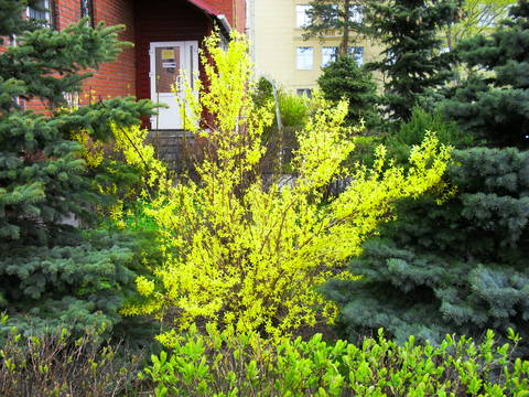 http://upforme.ru/uploads/000a/3f/42/16/t850613.jpg