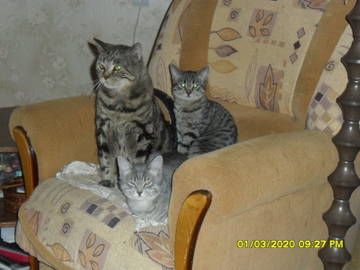 http://upforme.ru/uploads/000a/3f/42/241/t19845.jpg