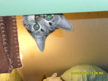 http://upforme.ru/uploads/000a/3f/42/241/t31595.jpg