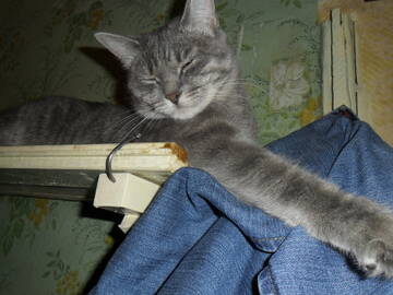 http://upforme.ru/uploads/000a/3f/42/241/t316905.jpg
