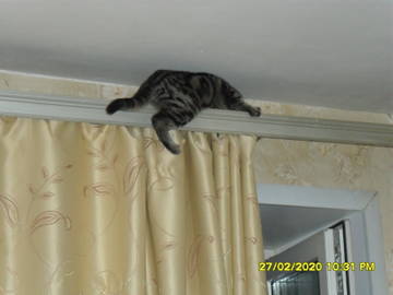 http://upforme.ru/uploads/000a/3f/42/241/t74963.jpg