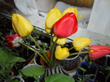 http://upforme.ru/uploads/000a/3f/42/241/t960510.jpg