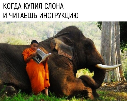 http://upforme.ru/uploads/000a/3f/42/33/t10573.jpg