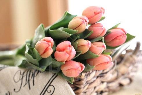 http://upforme.ru/uploads/000a/3f/42/33/t130341.jpg