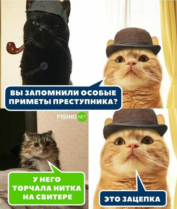 http://upforme.ru/uploads/000a/3f/42/33/t250519.jpg