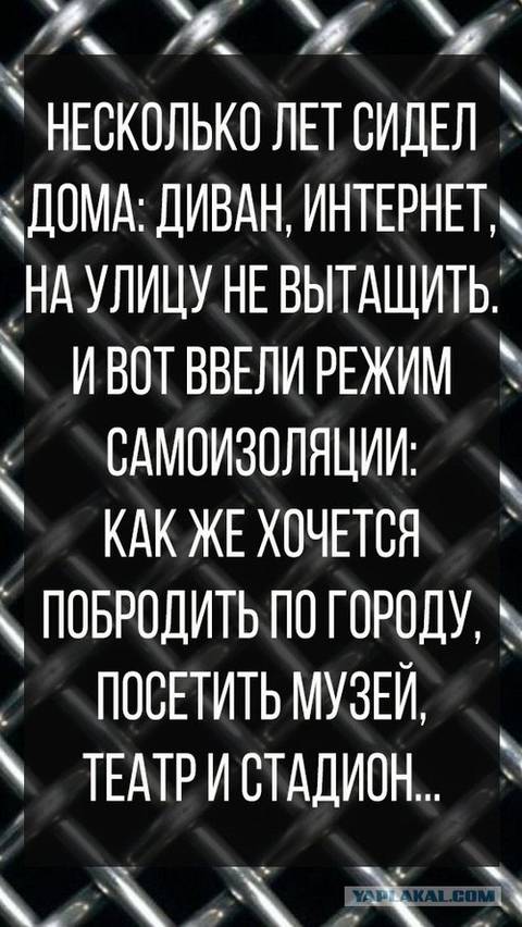 http://upforme.ru/uploads/000a/3f/42/33/t29887.jpg