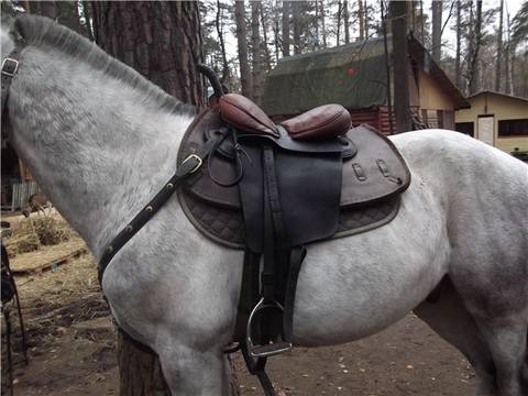 http://upforme.ru/uploads/000a/3f/42/33/t413551.jpg