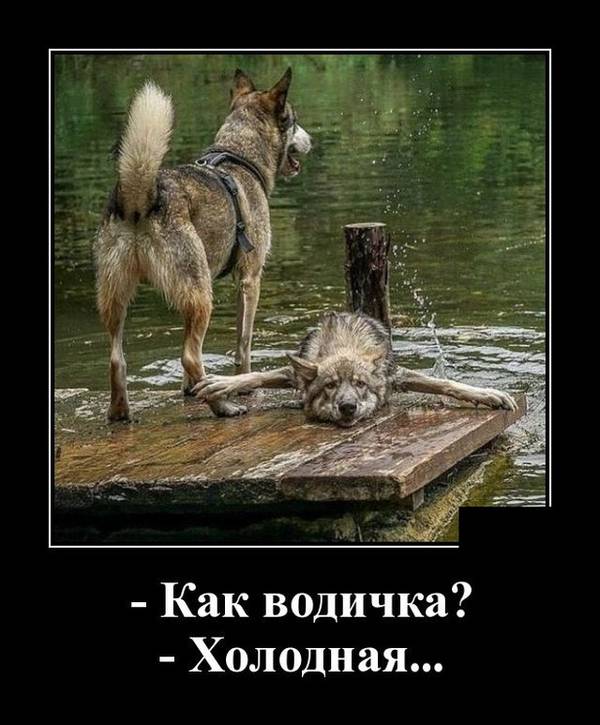 http://upforme.ru/uploads/000a/3f/42/33/t514478.jpg