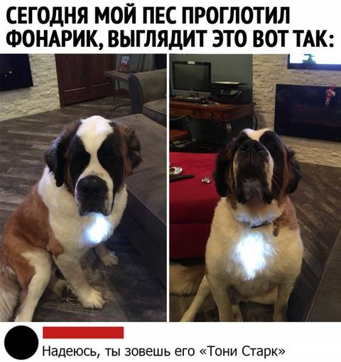 http://upforme.ru/uploads/000a/3f/42/33/t52778.jpg