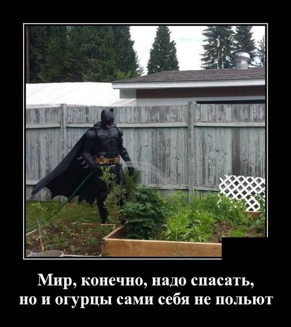 http://upforme.ru/uploads/000a/3f/42/33/t55901.jpg