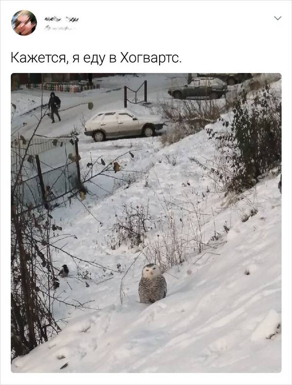 http://upforme.ru/uploads/000a/3f/42/33/t576189.jpg
