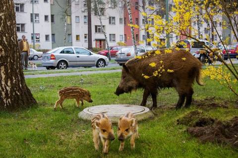 http://upforme.ru/uploads/000a/3f/42/33/t766782.jpg