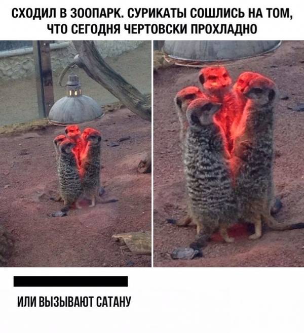http://upforme.ru/uploads/000a/3f/42/33/t773766.jpg