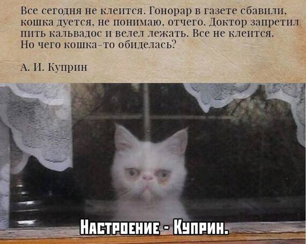 http://upforme.ru/uploads/000a/3f/42/33/t78468.jpg