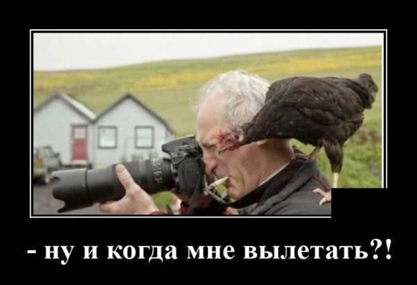 http://upforme.ru/uploads/000a/3f/42/33/t849340.jpg